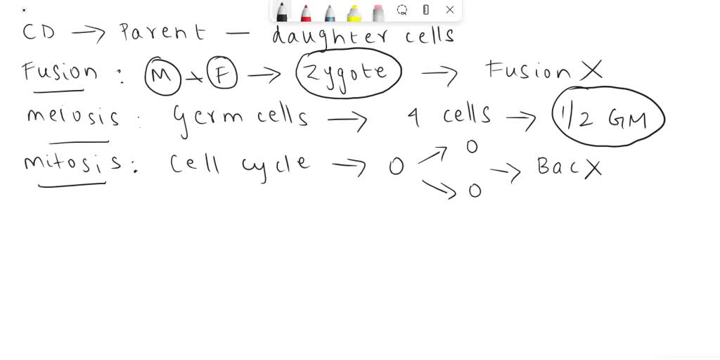 Solved: In Bacterial Cell Division, The Cell Divides Into Two Nearly 