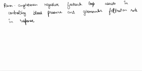 describe-in-detail-how-the-renin-angiotensin-negative-feedback-loop-helps-regulate-blood-pressure-and-glomerular-filtration-rate-in-response-to-dehydration-04245