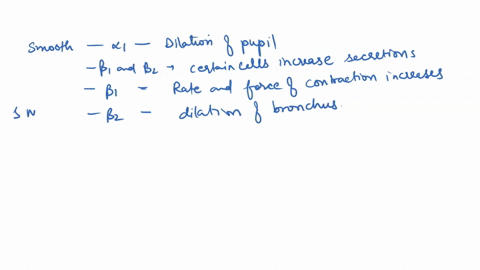 drag-the-appropriate-labels-to-their-respective-targets_-reset-help-release-of-certain-cells-dilation-of-bronchioles-dilation-of-pupil-rate-and-force-of-secretion-decrease-epinephrine-and-co-16618