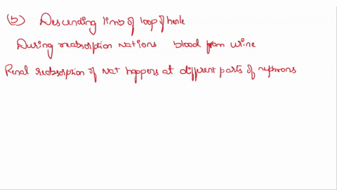 19-which-one-of-the-following-parts-of-the-nephron-does-not-reabsorb-na-ions-ascending-limb-of-loop-of-henle-descending-limb-of-loop-of-henle-proximal-tubule-distal-tubule-62046