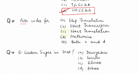 what-dna-nucleotide-bonds-with-adenine-a-a-guanine-b-cytosine-c-thymine-d-uracil-_____2-what-rna-nucleotide-bonds-with-guanine-a-cytosine-b-adenine-c-thymine-d-uracil-_____3-what-rna-nucleot-51016