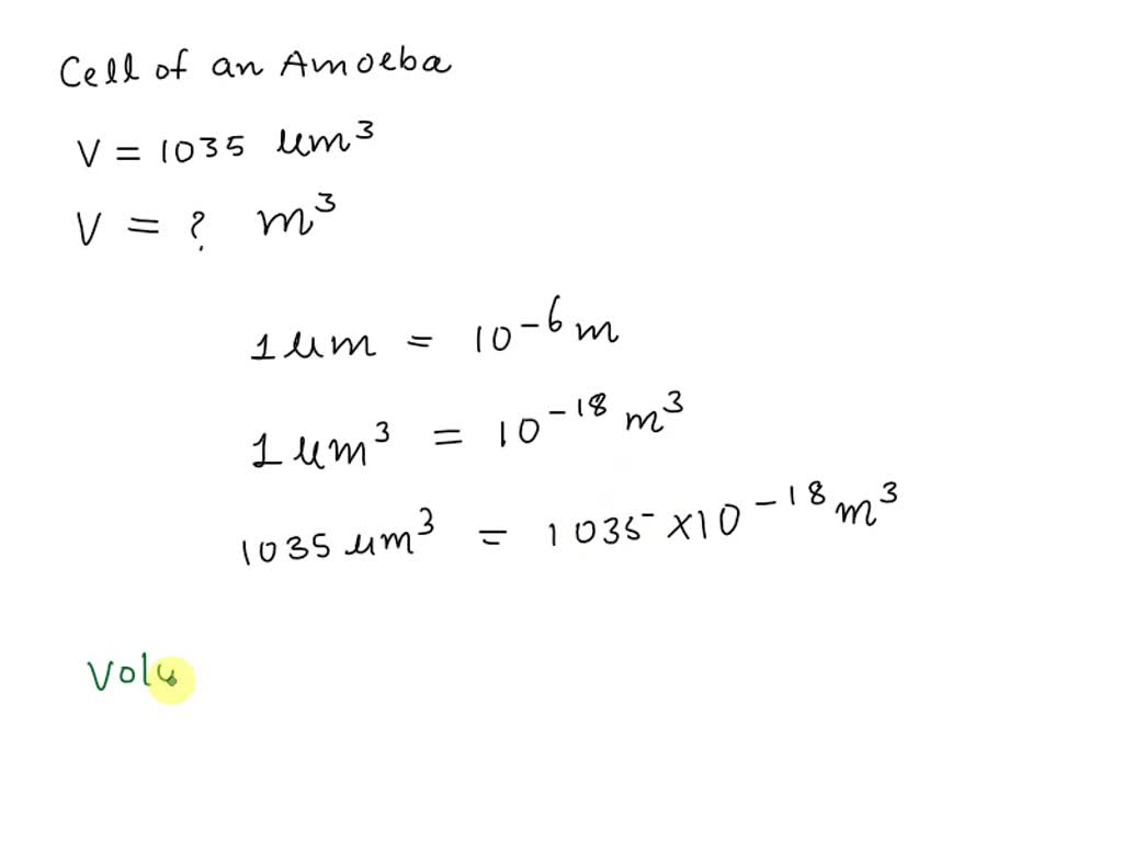 SOLVED The Cell Of An Amoeba Had An Estimated Volume Of 1035 M   Ab4310dc 3a3c 42cf A7a5 Cda93b5f8b4a Large 