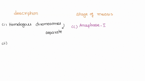 match-the-stage-of-meiosis-with-the-statement-below-not-all-choices-must-be-used-and-answers-may-bc-used-more-than-once-homologous-chromosomes-separate-and-move-loward-prophase-opposite-pole-83924