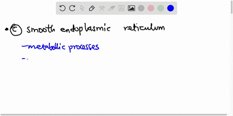 32-which-type-of-organelle-or-structure-is-primarily-involved-in-the-synthesis-of-oils-phospholipids-and-steroids-a-ribosome-b-lysosome-c-smooth-endoplasmic-reticulum-d-mitochondrion-e-contr-62497