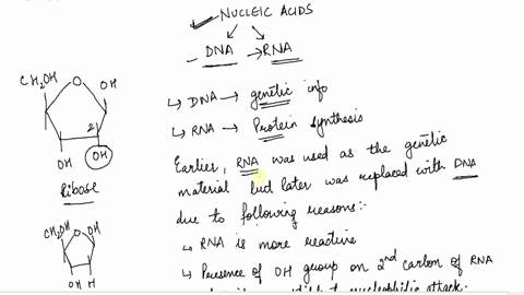 researchers-have-proposed-that-early-life-on-earth-used-rna-as-its-source-of-genetic-information-and-that-dna-eventually-replaced-rna-as-the-source-of-genetic-information-what-aspects-of-dna-38546