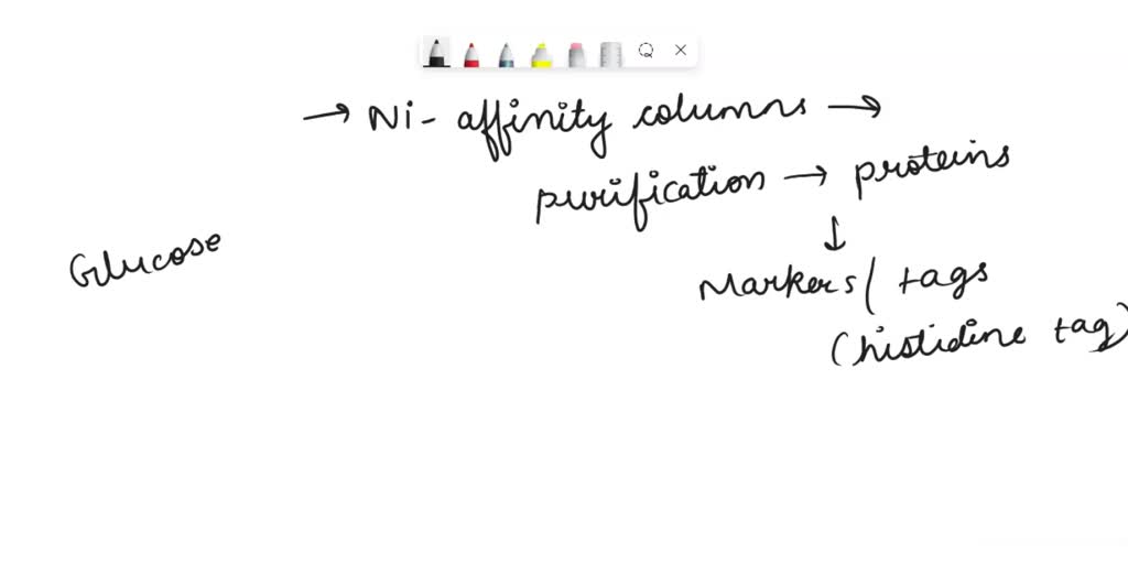 SOLVED You are purifying a glucosebinding protein from a newly