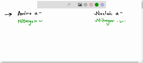 compare-and-contraste-amino-acids-and-nucleic-acids-the-answer-could-be-one-or-the-other-both-or-neither-a-which-contains-nitrogen-b-which-contains-a-sugar-in-its-monomer-c-which-forms-pepti-03179