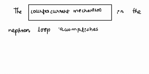 what-does-the-countercurrent-mechanism-accomplish-in-the-nephron-loopa-glomerular-hydrostatic-pressureb-net-filtration-pressurec-glomerular-filtration-rated-countercurrent-exchange-70743