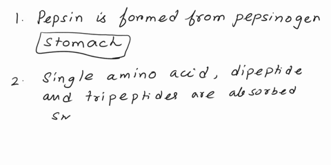 part-b-digestion-and-absorption-of-proteins-drag-the-appropriate-items-to-their-respective-bins-view-available-hints-reset-help-pepsin-is-formed-from-pepsinogen-here-single-amino-acids-dipep-25111