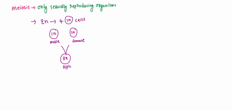 which-of-the-following-is-not-a-function-of-meiosis-a-cause-an-organism-t0-grow-b-create-genetic-variability-reduce-the-chromosome-number-in-gametes-d-produce-gametes-produce-offspring-that-96889