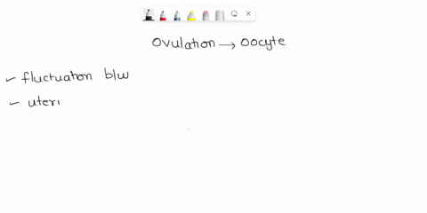 upon-ovulation-the-oocyte-is-released-into-the-a-quad-fallopian-tube-b-quad-follicle-c-quad-abdomina-61308