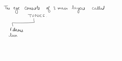 fibrous-tunic-0cornea-vascular-tunic-choroid-neural-tunic-retina-sclera-ciliary-body-pigmented-layer-neural-layer-0-gangi-conjunctiva-optic-nerve-ii-lacrimal-gland-not-on-anterior-chamber-op-07902