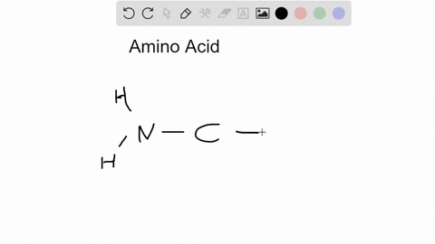 amino-acid-structure-consists-of-central-carbon-atom-amino-group-carboxyl-group-single-hydrogen-and-03362