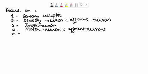 use-the-following-infonmation-t0-answer-tha-next-queston-raflex-arc-spinal-identifyethe-structure-as-numbered-above-that-performs-each-of-the-functions-given-below-structure-functlon-convert-56905
