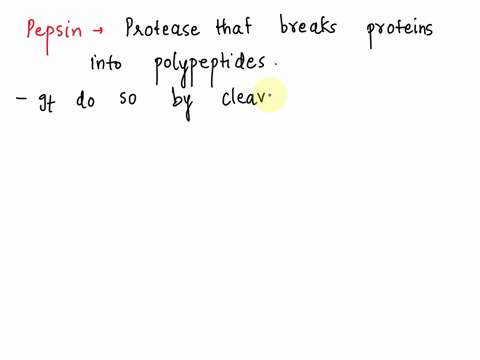 which-of-the-following-is-false-regarding-the-protein-pepsin-a-pepsin-hydrolyzes-peptide-bonds-b-pepsin-is-a-type-of-protease-pepsinogen-is-the-active-form-of-pepsin-pepsinogen-self-cleaves-60704