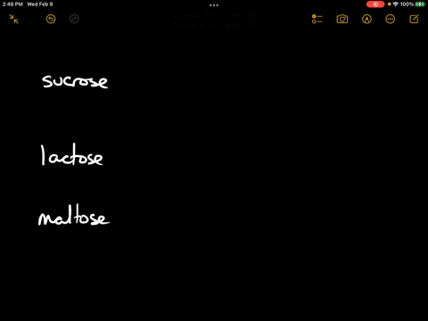 name-three-important-disaccharides-from-which-monosaccharides-is-each-derived-61386