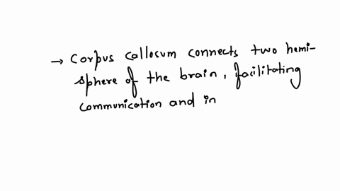 which-of-the-following-is-more-likely-to-be-present-in-people-with-dyslexia-group-of-answer-choices-parts-of-the-right-temporal-cortex-larger-than-the-left-stuttering-larger-than-normal-corpus-callosu