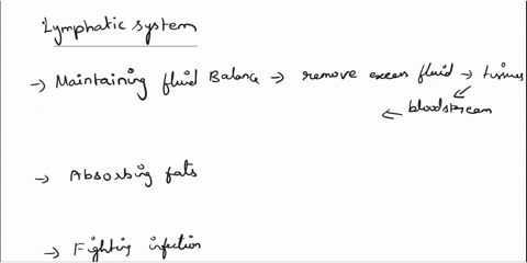3-12-fully-detailed-please-b-describe-3-important-functions-of-the-lymphatic-system-4explain-where-lymph-comes-fromits-composition-and-how-it-returns-to-the-bloodstream-5compare-and-contrast-87686