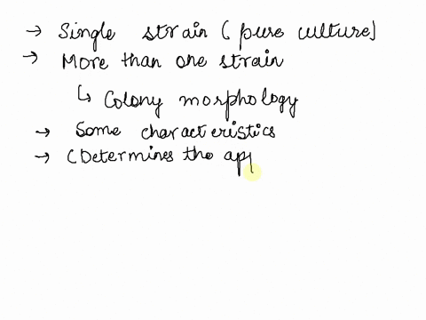you-are-examining-a-nutrient-agar-plate-streaked-for-single-colonies-how-could-you-determine-if-the-colonies-represented-one-strain-a-pure-culture-or-2-or-more-strains-include-in-your-answer-20197