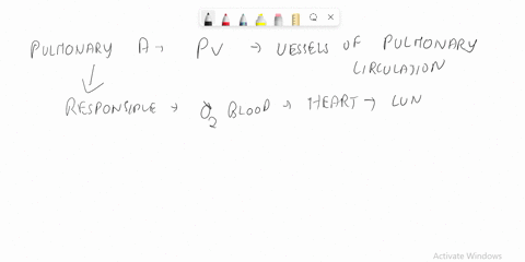 choose-the-incorrect-statement-bout-gas-exchange-in-the-lungs-and-pulmonary-circuit-blood-arriving-from-pulmonary-artery-has-more-o2than-that-inthe-alveoli-blood-arriving-from-pulmonary-arte-86282