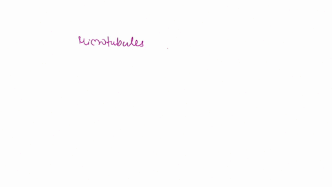 question-38-what-cytoskeletal-ement-is-responsible-for-attaching-to-kinetochores-and-moving-the-chromosomes-to-the-opposite-poles-of-the-cell-during-anaphase-microtubules-b-intermediate-fila-58993