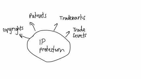 how-can-businesses-protect-their-intellectual-property-in-the-united-states-how-does-a-business-protect-itself-from-patent-trademark-or-copyright-infringement-by-individuals-or-companies-in-95795