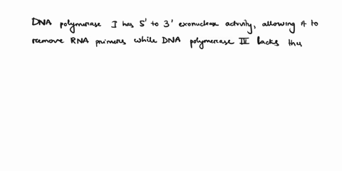why-does-dna-polymerase-i-remove-rna-primers-instead-of-dna-polymerase-iii-since-dna-polymerase-iii-is-the-main-replication-enzyme-30456
