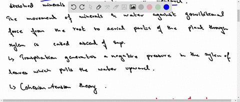 explain-the-cohesion-tension-theory-and-how-it-explains-the-transport-of-sap-through-xylem-15193