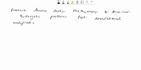 why-do-amino-acids-other-than-methionine-occur-in-the-nterminal-position-of-proteins-from-eukaryotes-47068