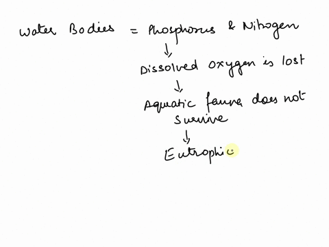 what-are-some-physical-and-chemical-characteristics-of-a-eutrophic-lake-71549