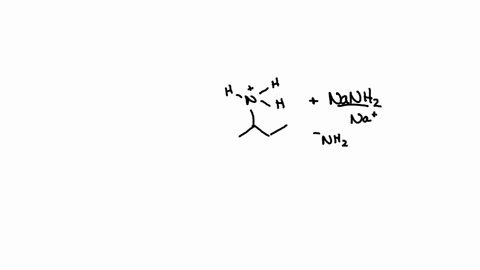 draw-the-organic-product-of-the-bronsted-acid-base-reaction-include-all-lone-pairs-and-charges-as-appropriate-ignore-any-counterions-h-nanh2-1-equiv-select-to-draw-99272