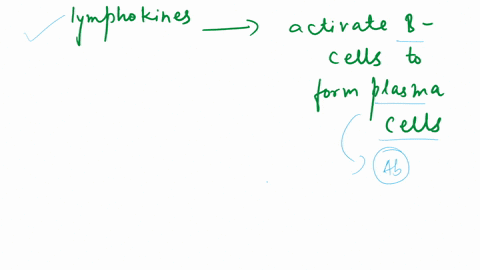 which-of-the-following-cells-secretes-lymphokines-that-further-activate-b-cells-to-differentiate-into-plasma-cells-nk-cells-b-tc-cells-c-td-cells-dth-cells-82582