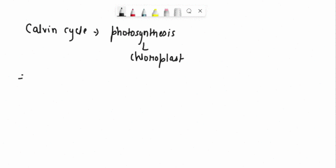 questicn-25-pt-the-process-of-the-calvin-cycle-occurs-in-the-and-produces-thylakoid-membrane-glucose-stroma-atp-stroma-glucose-thylakoid-membrane-atp-79554