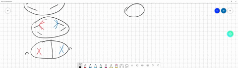 la-in-the-drawing-below-the-cells-belong-to-the-same-organism_-next-to-each-cell-indicate-which-stage-of-mitosis-or-meiosis-is-represented-eg-mitosis-anaphase-assume-condensed-chromosomes-ar-24245