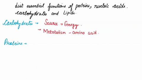 list-essential-functions-of-proteins-nucleic-acids-carbohydrates-and-lipids-2-14163