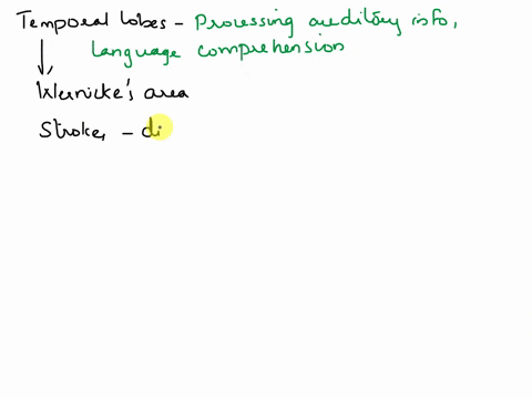 a-series-of-strokes-has-damaged-regions-of-mr-thornbergs-temporal-lobes-he-can-still-clearly-hear-what-others-are-saying-but-he-now-has-trouble-comprehending-spoken-language-use-your-underst-67315