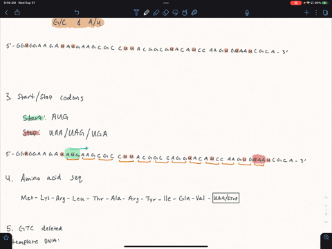 given-the-template-dna-sequence-below-3-ccaccttctatacttcgcggaatgccggtccatgtaggttcacattagcgt-5-replicate-the-template-strand-above-to-the-corresponding-coding-strand-label-the-5-and-3-ends-in-54163