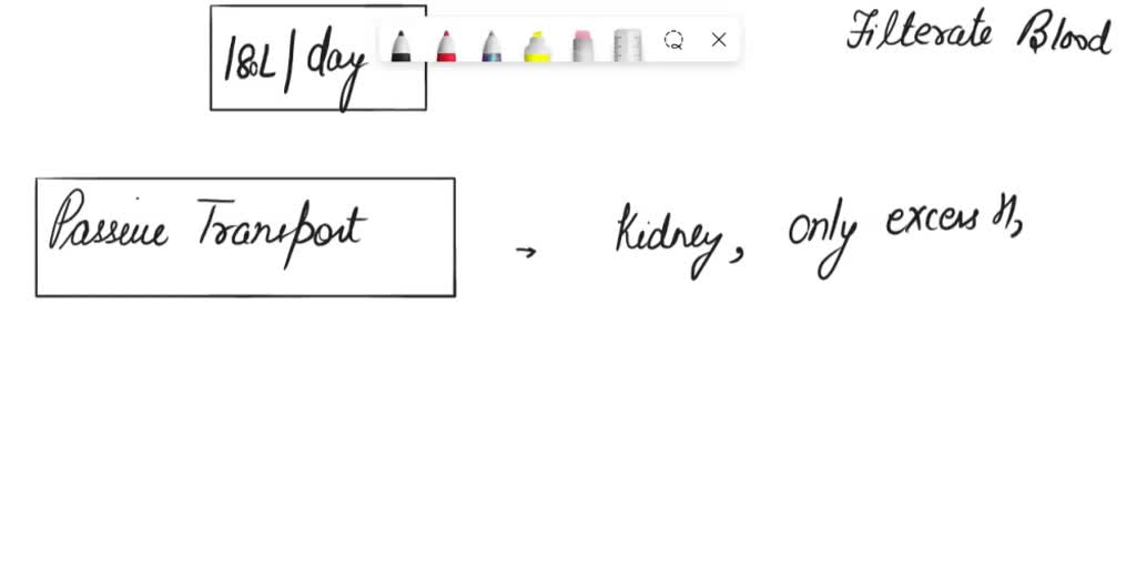 SOLVED Describe filtration, active transport, and passive transport in