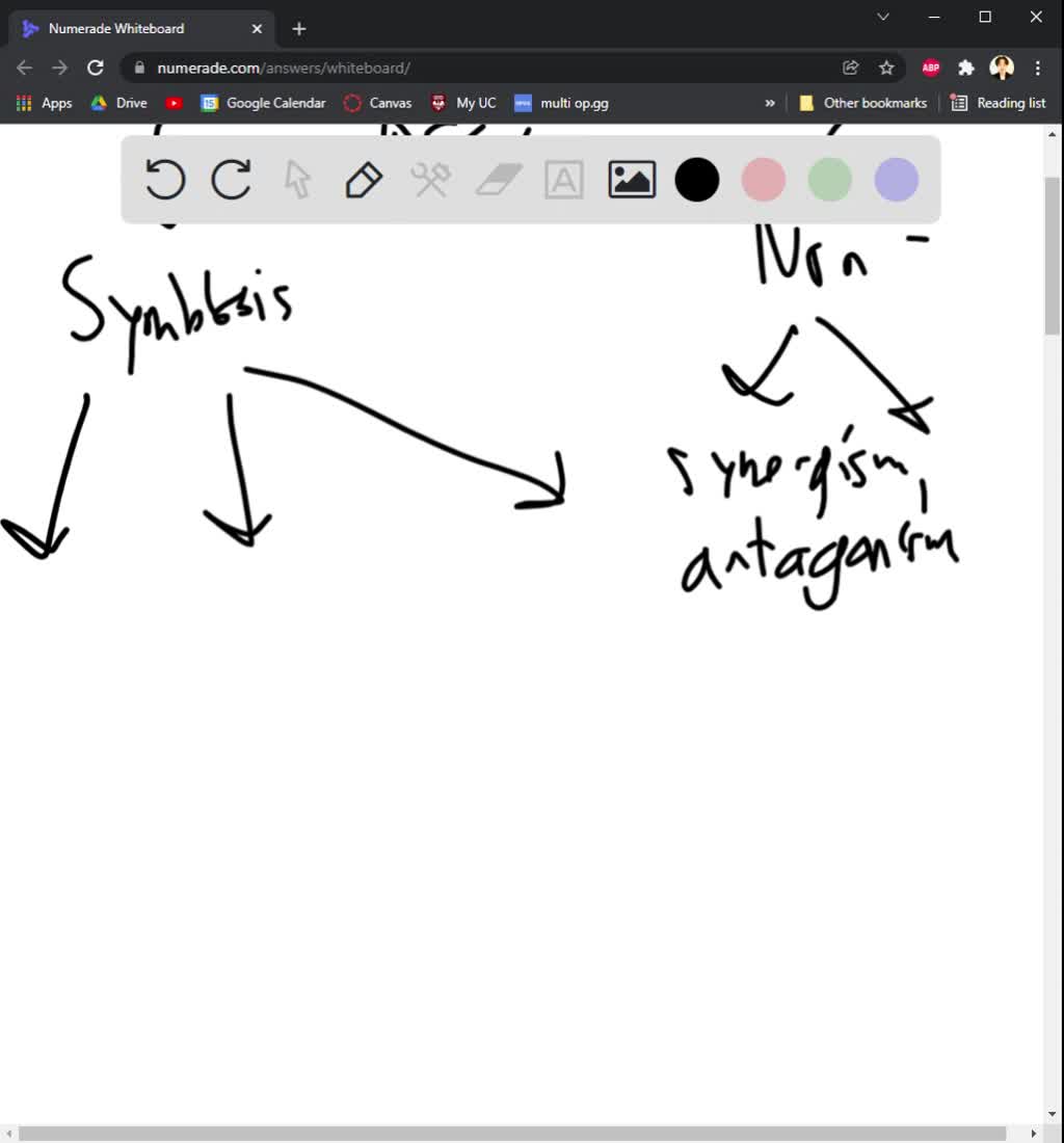 SOLVED: Text: Drag and drop the labels into the correct empty boxes to ...