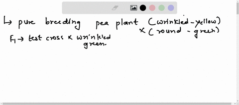 1-answer-the-following-and-provide-an-explanation-a-a-pure-breeding-pea-plant-with-wrinkled-yellow-seeds-is-crossed-with-one-that-has-round-green-seeds-one-of-the-f1-offspring-is-tescrossed-30614