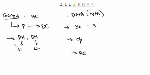 -identify-and-describe-the-three-categories-of-genes-provide-a-brief-description-of-the-gene-cloning-process-95248