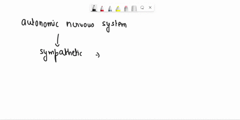 the-_______________-division-of-the-autonomic-nervous-system-is-said-to-function-during-rest-and-digest-59536