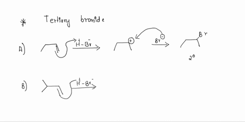 which-one-of-the-following-alkenes-will-produce-a-tertiary-bromide-as-a-major-product-when-treated-with-hbr-noned-them-12222