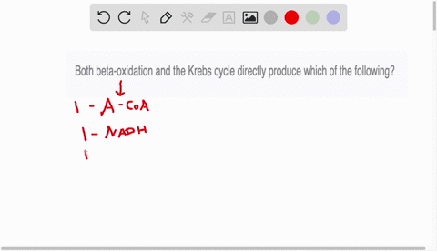 both-beta-oxidation-and-the-krebs-cycle-directly-produce-which-of-the-following
