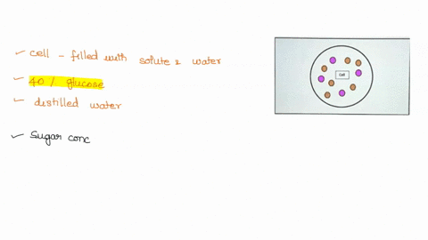 a-cell-is-filled-with-solutes-and-water-imagine-cell-filled-with-40-glucose-and-submerged-in-distilled-water-the-cell-membrane-pereable-to-glucose-complete-this-diagram-below-to-help-you-und-66502
