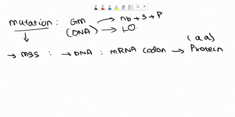 -discuss-types-of-mutations-minimal-3-types-define-gene-transcription-and-discuss-how-mutations-can-affect-this-process-define-gene-translation-and-discuss-how-mutations-can-affect-this-proc-74749