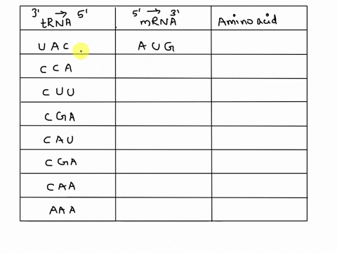 part-3-practiceexercises-irna-anticodon-mrna-codon-5-_-amino-acid-3-5-uac-cca-cuu-cga-cau-cga-caa-aaa-ucu-pha-uuc-ucc-vua-uca-uua-uco-uau-uac-uac-uaa-uaa-aton-mao-uao-ne-genetic-code-mrna-co-57507