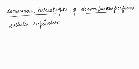 which-types-of-organisms-perform-cellular-respiration-to-release-energy-stored-in-glucose-and-other-nutrients-select-all-that-apply-consumers-autotrophs-heterotrophs-producers-decomposers-00998