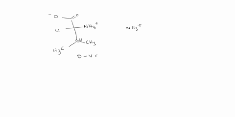 which-one-of-the-following-fischer-projections-is-a-d-valine-ck-hc-cr-hc-ch-b-c-d-e-6-8-c-9-dd-d-e-66954
