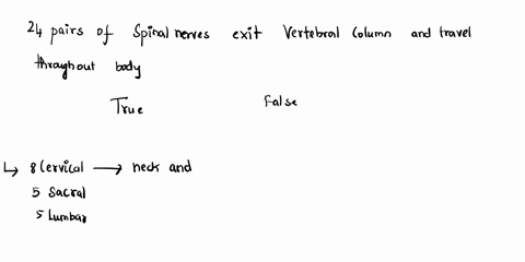 there-are-24-pairs-of-spinal-nerves-that-exit-the-vertebral-column-and-travel-throughout-the-body-select-one-arre-ofalse-36565